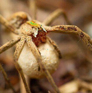 Den otevřených dveří