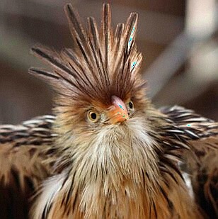 Naši studenti v Bad Marienbergu